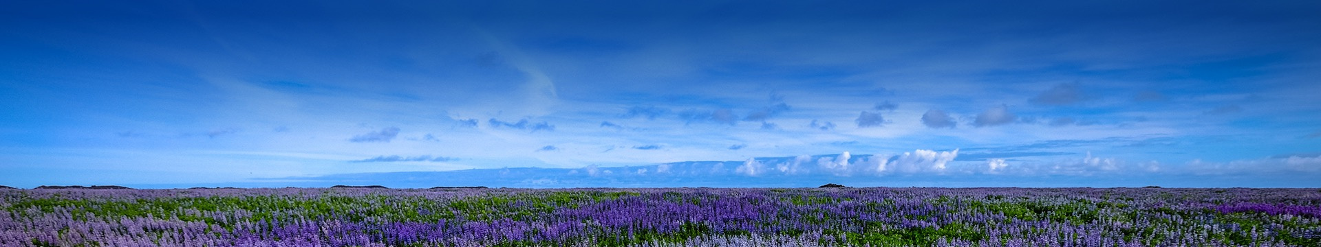 银川花园公墓